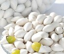 南京泽朗，代加工白果提取物价格白果多糖药食同源产品