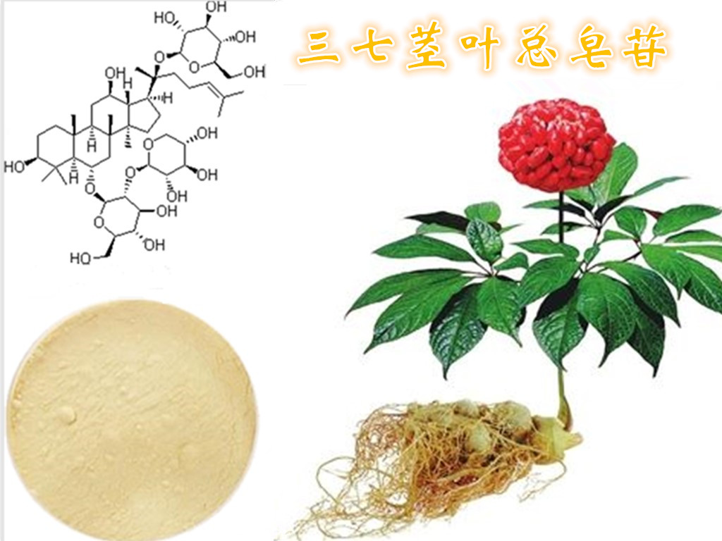 三七茎叶总皂苷价格,三七茎叶总皂苷介绍,品牌南京泽朗,三七茎叶总
