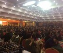 洛阳糖酒会图片