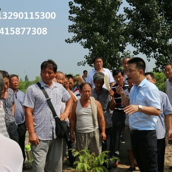 中國是核桃的原產(chǎn)地之一，核桃栽植面積和產(chǎn)量世界