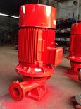 上海孜泉4.4/26-100L消防泵消防稳压机组电动喷淋泵图片2