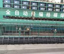 宁夏省中卫市土工格栅土工布现货供应质量保证图片