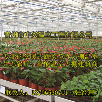 供应沧州花卉培育大型玻璃温室建造