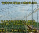 江苏花卉温室建造，广西温室大棚配件生产