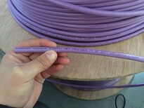 西门子总线电缆屏蔽Profibus双芯6XV1830-0EH10紫色图片1