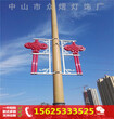 2.31米路灯杆大号led中国结景观灯图片