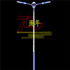 湖南LED燈籠眾熠路燈燈籠裝飾道路裝飾燈,路邊燈桿裝飾