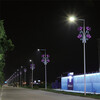 眾熠路邊燈桿裝飾,咸寧縣城燈桿裝飾路燈燈籠裝飾供應商
