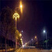 1.5米40W路灯灯笼装饰街道装饰灯,挂路上灯笼