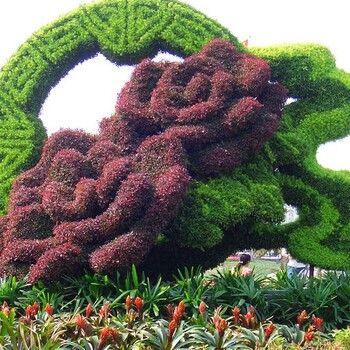 植物造型