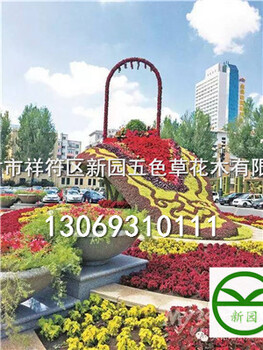 五色草花木造型設(shè)計