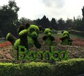 五色草造型-动物-新园园艺图片