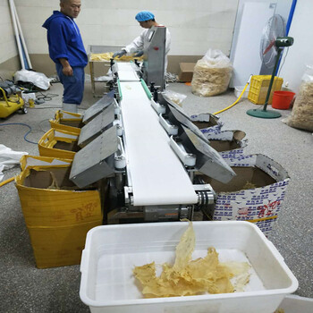 食品重量分选机那家好皮带式食品自动分级厂家-山东广昌