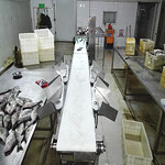 海产品重量分拣机鱼类自动分级厂家--山东广昌