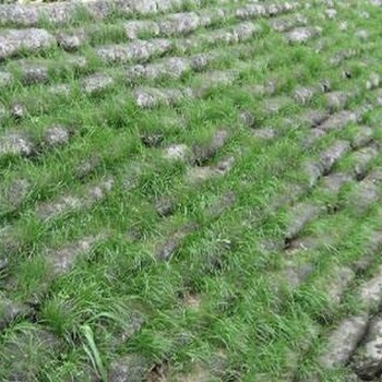 生态袋护坡/植生袋绿化种草,河道绿化生态袋/防汛土工布袋