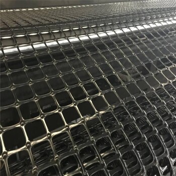 瀝青路面用玻纖土工格柵塑料拉伸土工格柵全國統(tǒng)一價格