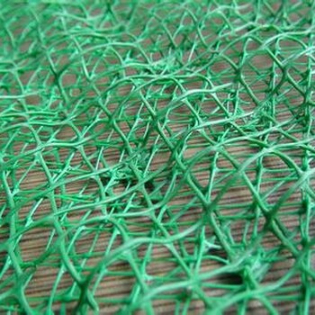 三维土工网垫价格三维植被网用途-江西生产厂家