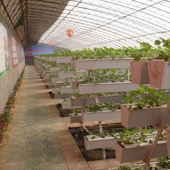 黑龙江现代农业草莓立体种植槽无土栽培槽草莓基质槽