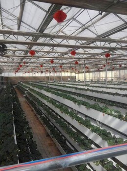 厂家草莓立体种植槽温室大棚种植槽