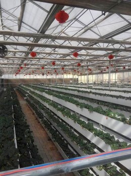 廠家草莓立體種植槽溫室大棚種植槽