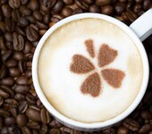 白咖啡进口报关广州进口咖啡报关费用