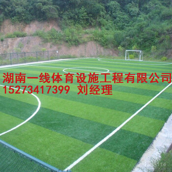 益阳沅江市人造草足球场设计施工包工包料包划线湖南一线体育设施