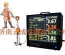 供应全国CSI-II型炉前碳硅分析仪