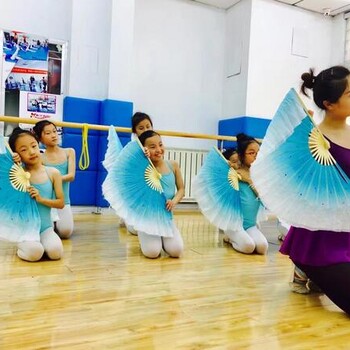 济南市中区芭蕾舞培训班济南少儿舞蹈考级