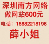 龙华坂田大浪民治上塘清湖做网站建设建网站设计公司图片0