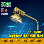 SBR1120免维护节能防爆道路灯吊链式安装耐腐蚀电磁感应灯