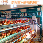 供应郑州，鹤壁地区全自动喂料、养鸡场自动喂料机、小型自动喂料机、优质自动喂料机