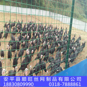 荷蘭網(wǎng)30米網(wǎng)卷鐵絲圍網(wǎng)現(xiàn)貨養(yǎng)雞鴨網(wǎng)價(jià)格