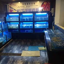 姜堰市鱼缸定做专业设计酒店鱼缸海鲜池图片