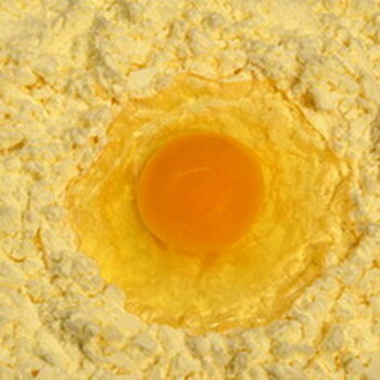 食品级蛋黄粉生产厂家