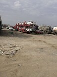 克拉玛依托运轿车到新疆专线托运业务图片0