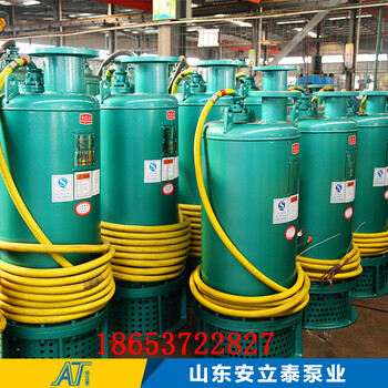 湖北省WQB15-22-2.2矿用污水泵电机使用寿命长