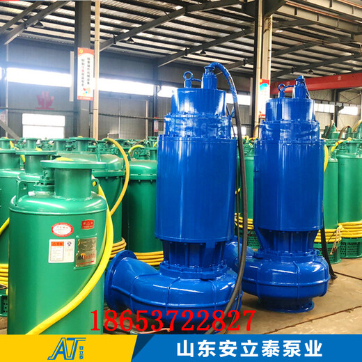 辽源市WQB50-10-4移动式潜水泵日常维护保养