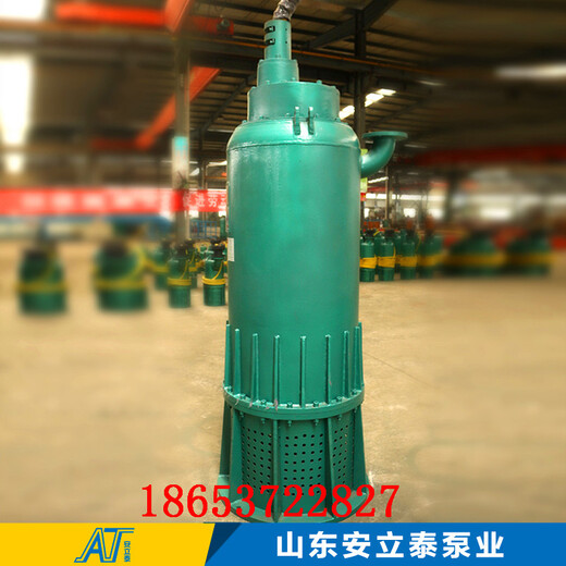 阿里地区WQB35-40-11防爆潜水排污泵适用管廊工程