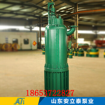 毕节地区WQB20-22-3潜污水泵适用管廊工程