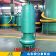营口市WQB25-12-2.2BQW防爆潜污泵用于市政工程图片