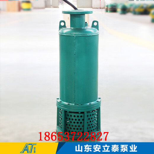 赤峰市WQB15-22-2.2BQW防爆排污泵用于市政工程