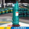 泰州市BQS50-100/2-30/N不銹鋼防爆泵使用說明