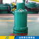 娄底市WQB10-16-1.5防爆型潜污泵安装说明