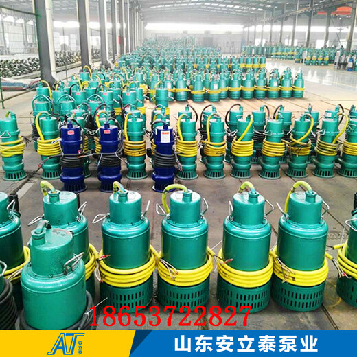 临夏州WQB30-25-5.5防爆型潜污泵固定式安装