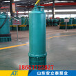 六盘水市WQB25-20-3隔爆型潜水排沙泵生产厂家图片