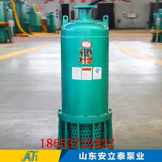 济南市WQB50-50-18.5BQS矿用防爆潜水泵日常维护保养