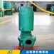 咸宁市BQS10-23-1.5WQB防爆排污泵固定式安装