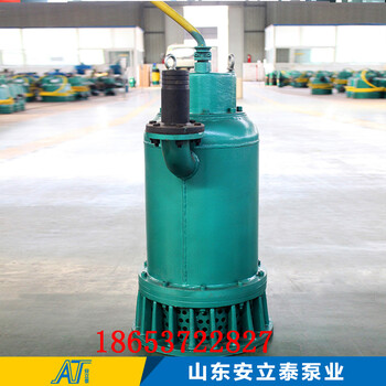 汉中市WQB15-22-2.2潜污水泵防爆等级EXDIIBT4