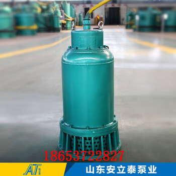 北京BQS15-20-1.5切碎式防爆泵安装说明