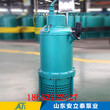 楚雄州WQB15-20-2.2隔爆型排污泵防爆性能可靠图片